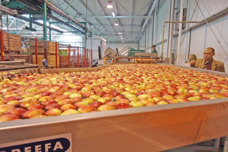 Officiële opening van de productiehal voor het sorteren van groenten en fruit voor de firma Witamina